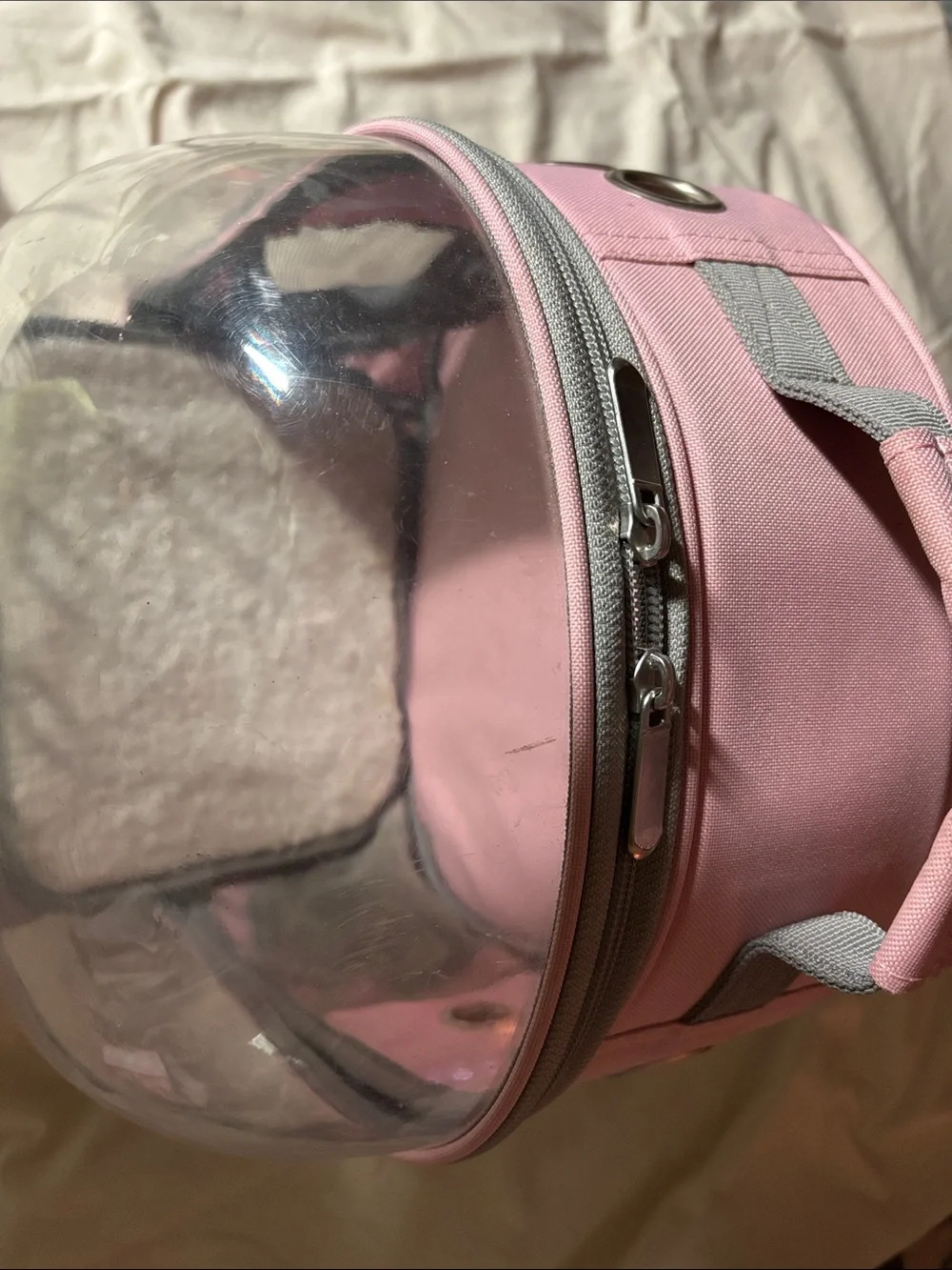 Pink Transparent Bubble Backpack Pet Carrier